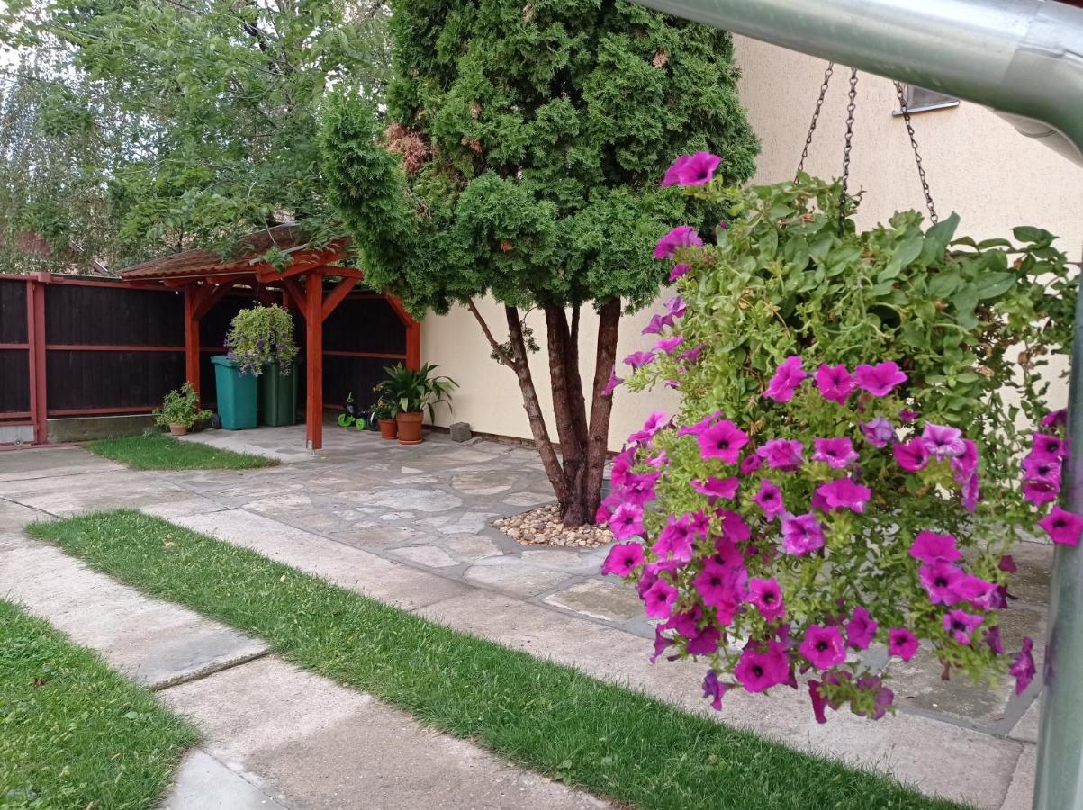 Apartman Ady 6 Senta Luaran gambar