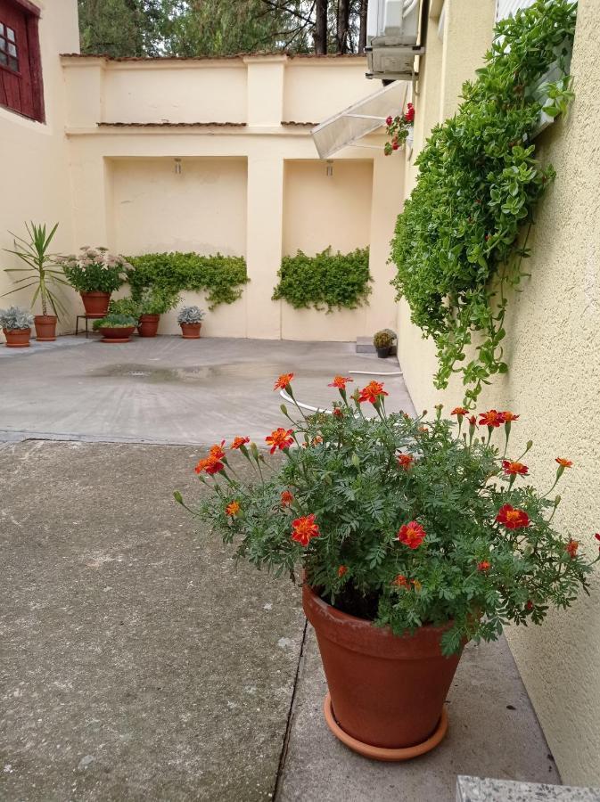 Apartman Ady 6 Senta Luaran gambar